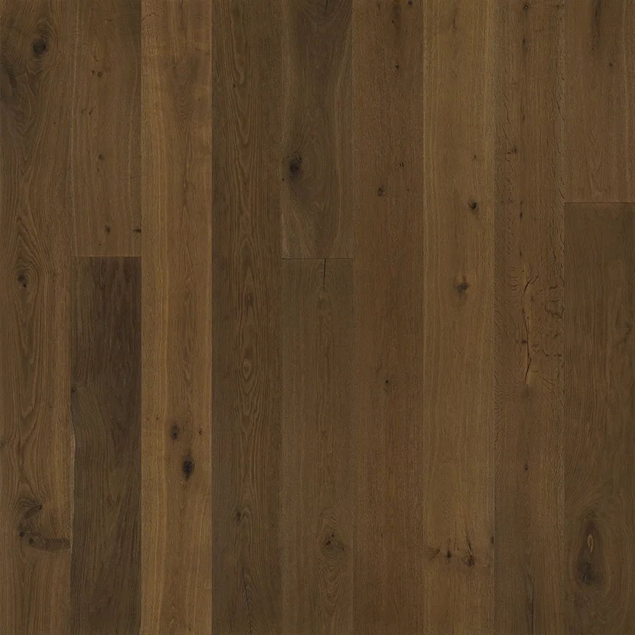 Mulholland Oak — Hallmark Avenue