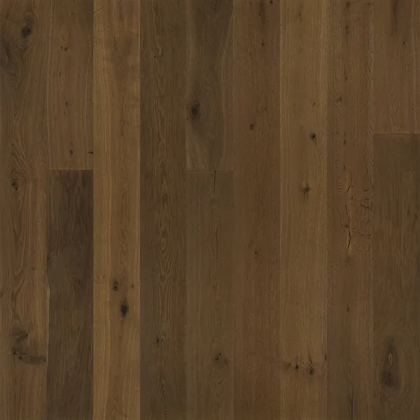 Mulholland Oak — Hallmark Avenue