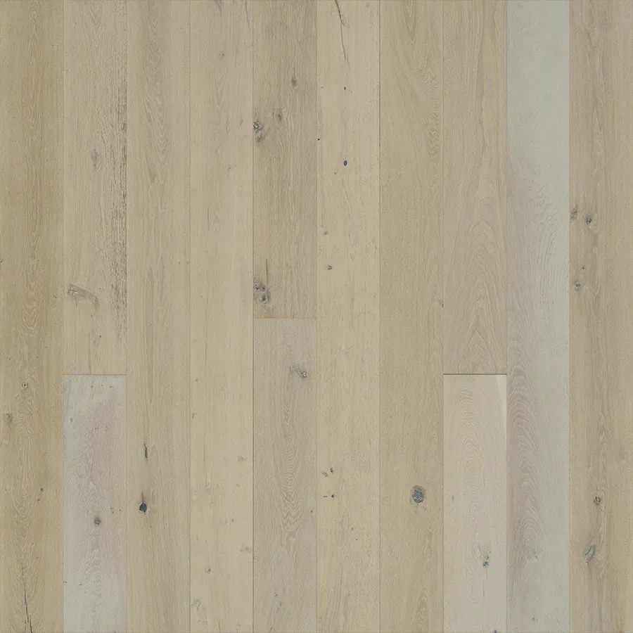 Ocean Drive Oak — Hallmark Avenue