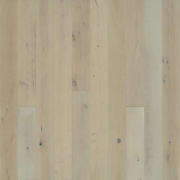 Ocean Drive Oak — Hallmark Avenue