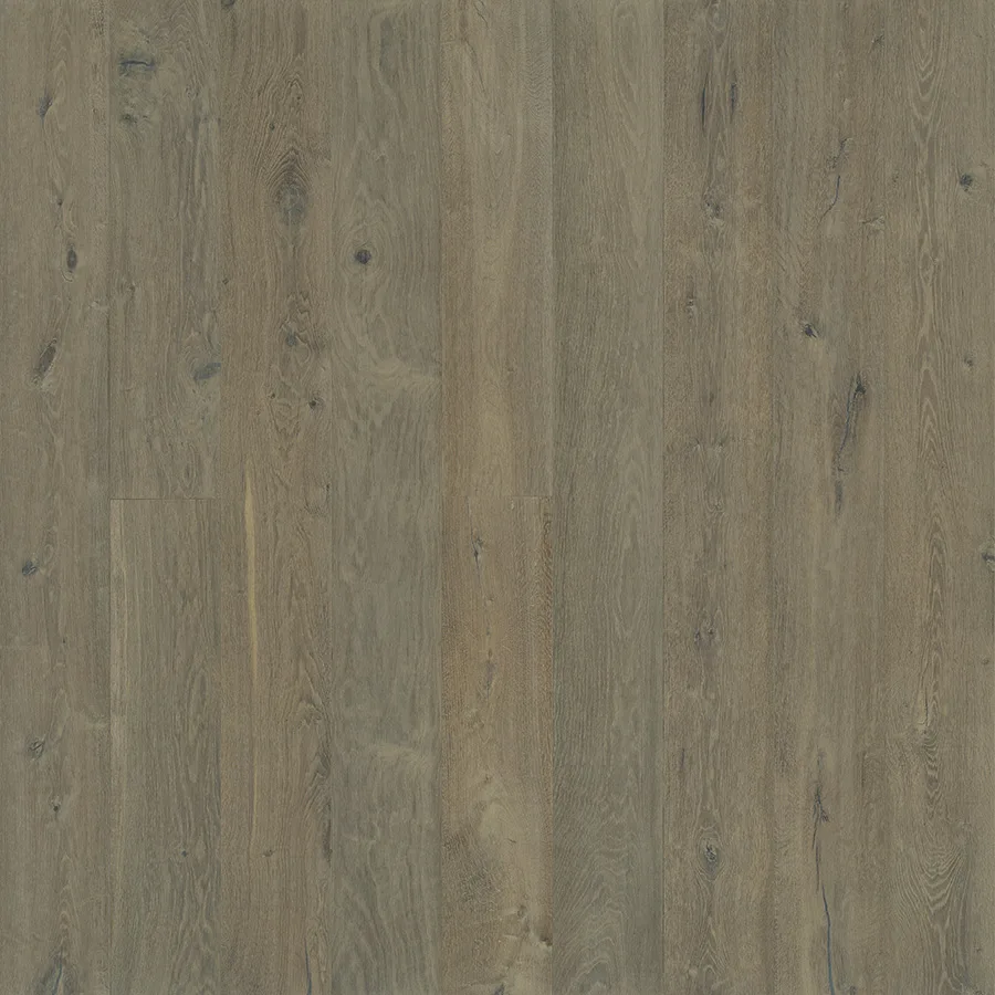 Rodeo Oak — Hallmark Avenue