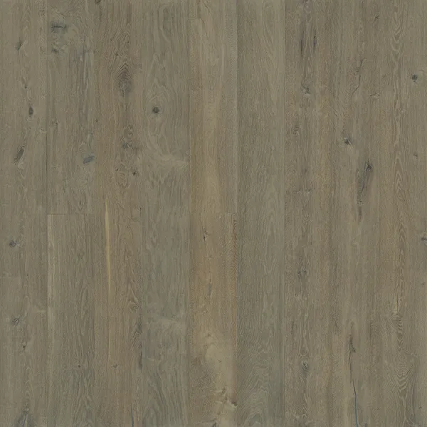 Rodeo Oak — Hallmark Avenue