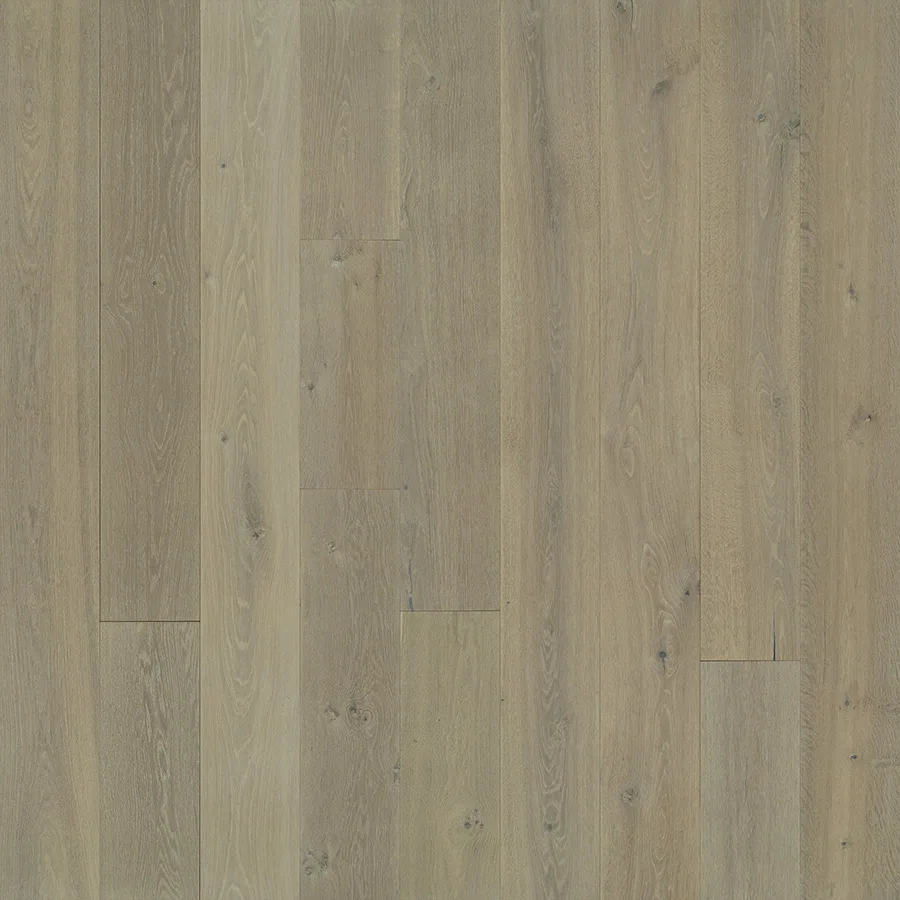 Sunset Oak — Hallmark Avenue