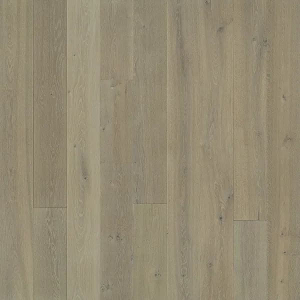 Sunset Oak — Hallmark Avenue