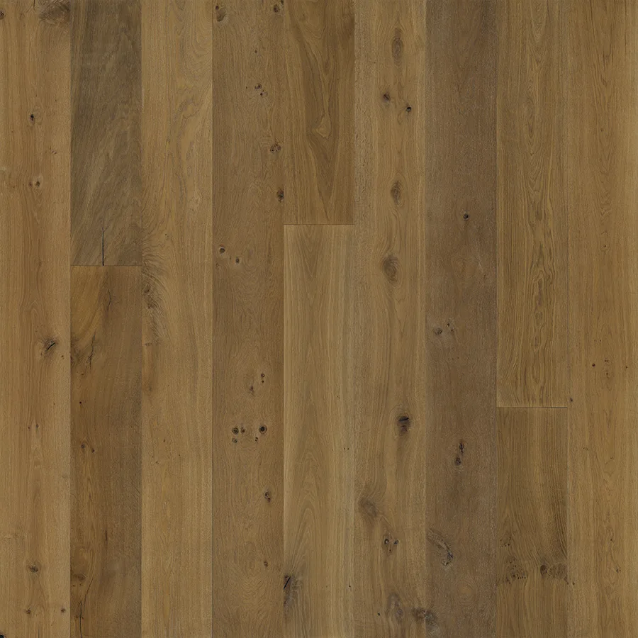 Wilshire Oak — Hallmark Avenue