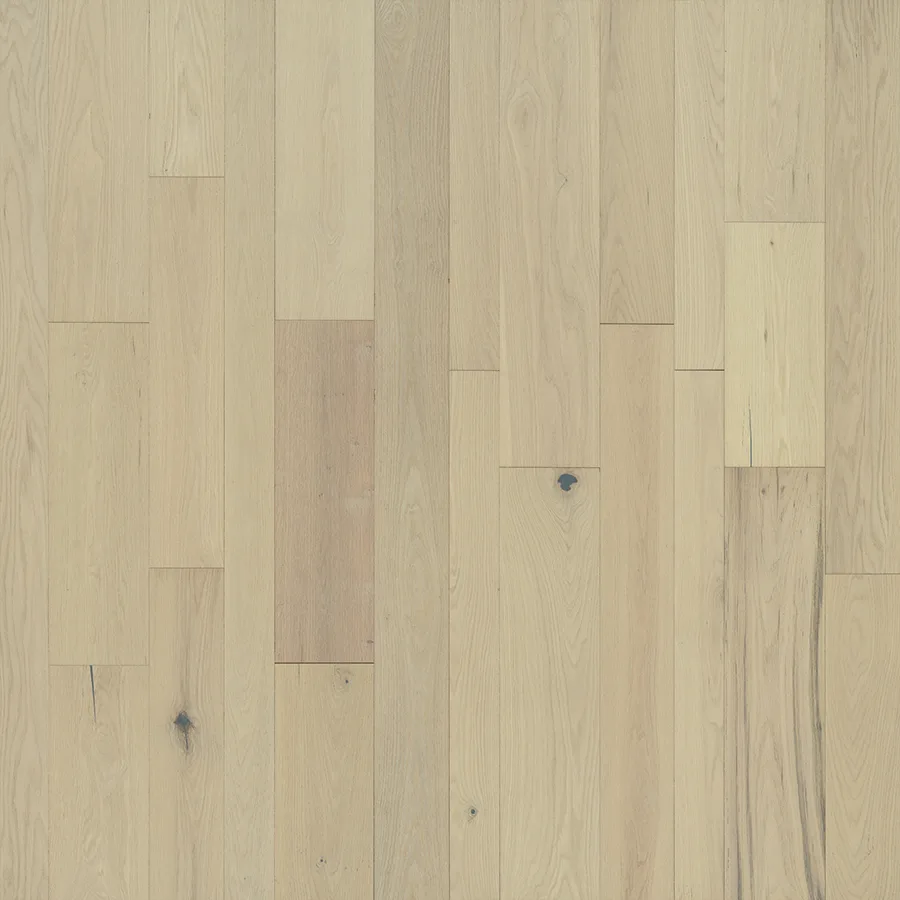 Appaloosa Red Oak — Hallmark Monterey