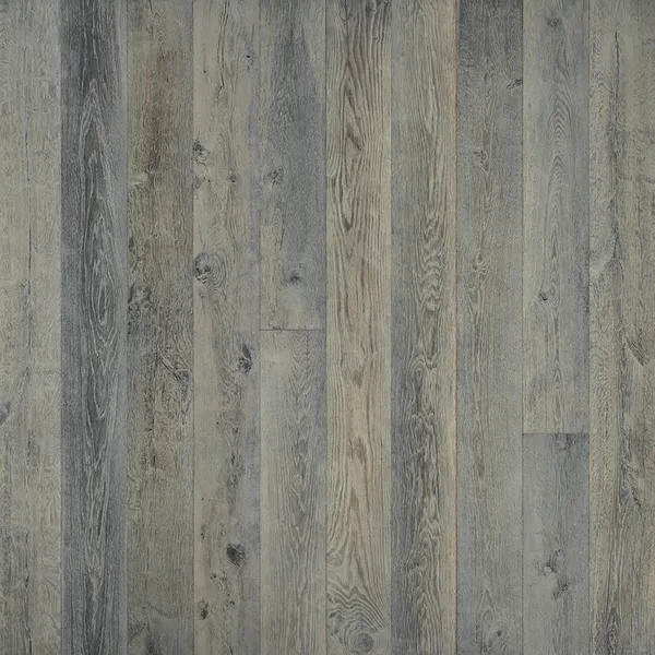 Silver Needle Oak — Hallmark TRUE