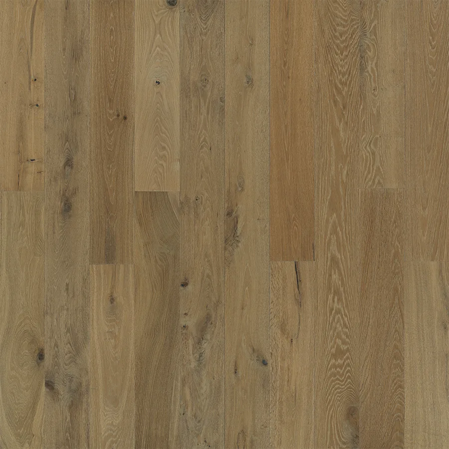 Dune Oak — Hallmark Ventura