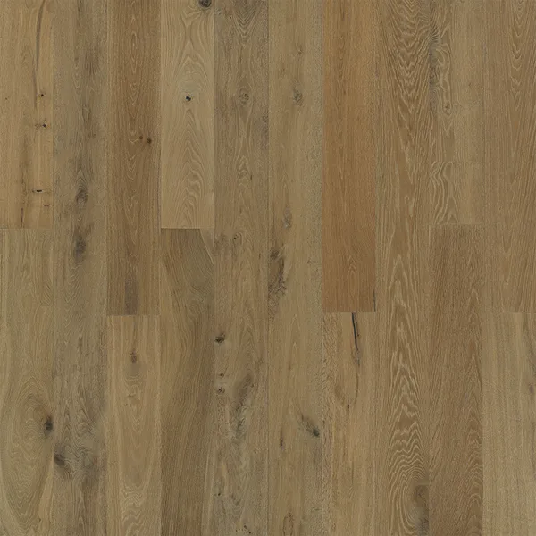 Dune Oak — Hallmark Ventura