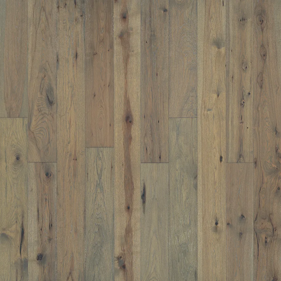 Sandbar Hickory — Hallmark Ventura