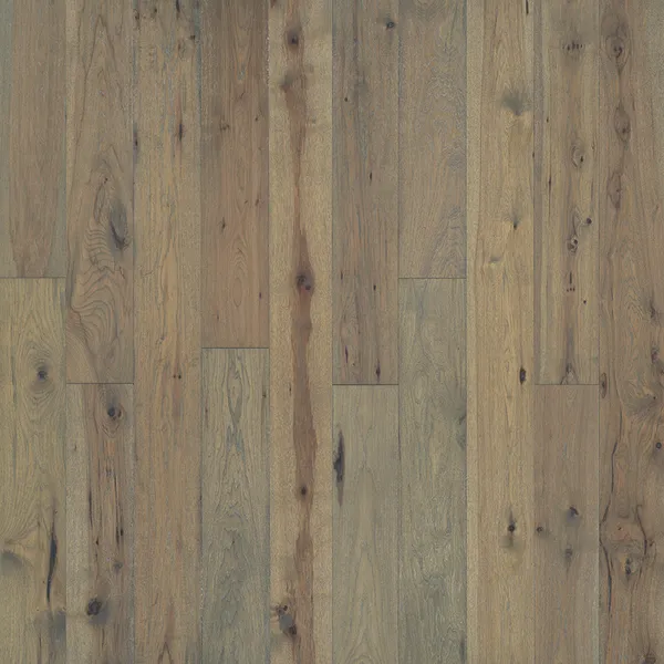 Sandbar Hickory — Hallmark Ventura