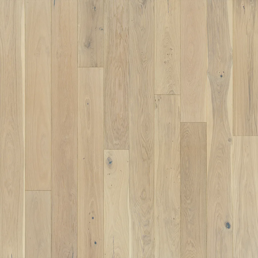 Seashell Oak — Hallmark Ventura