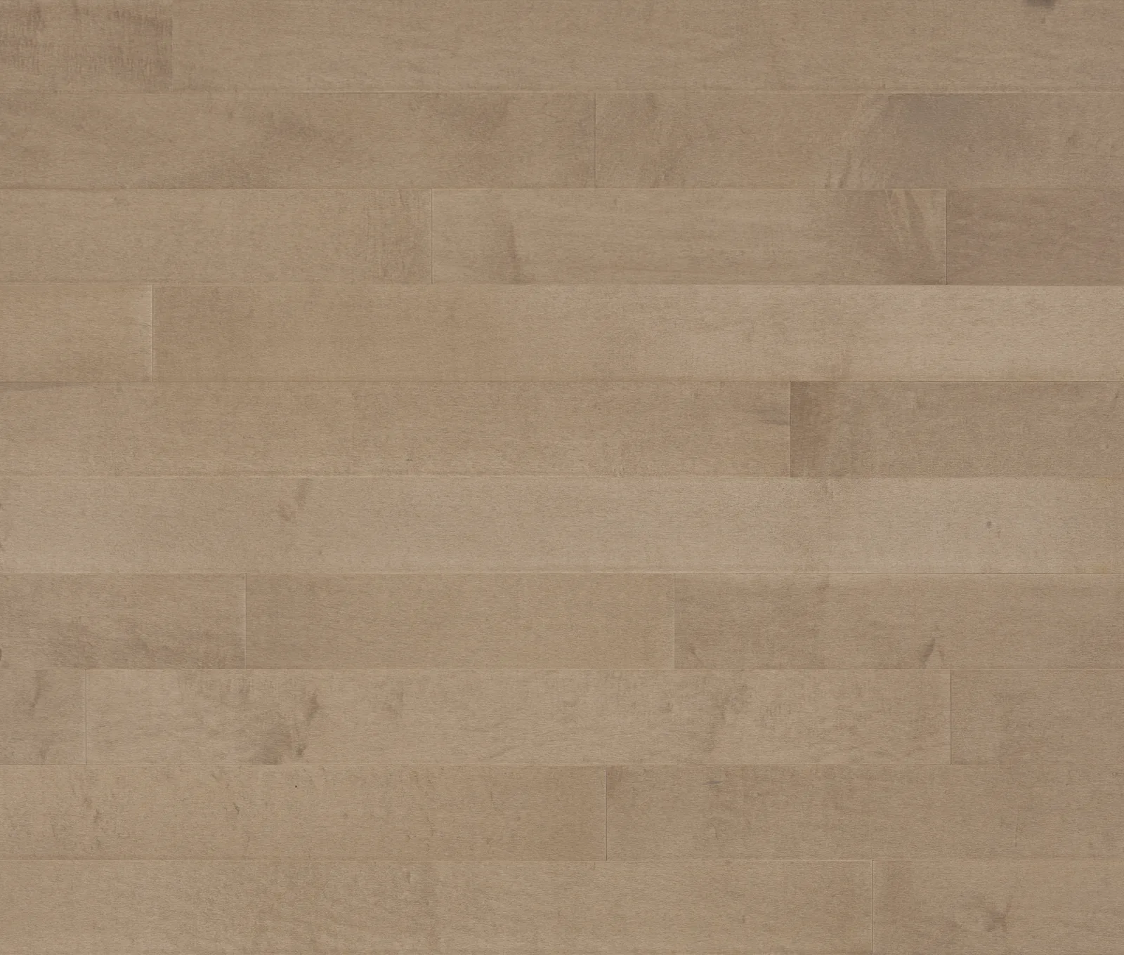 Arabesque — Lauzon Earth Influence