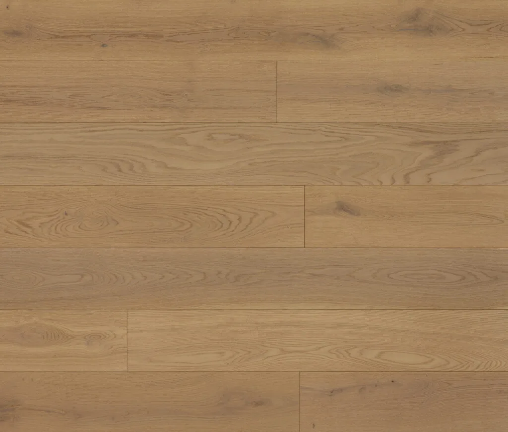 Astor Us — Lauzon Natural Influence