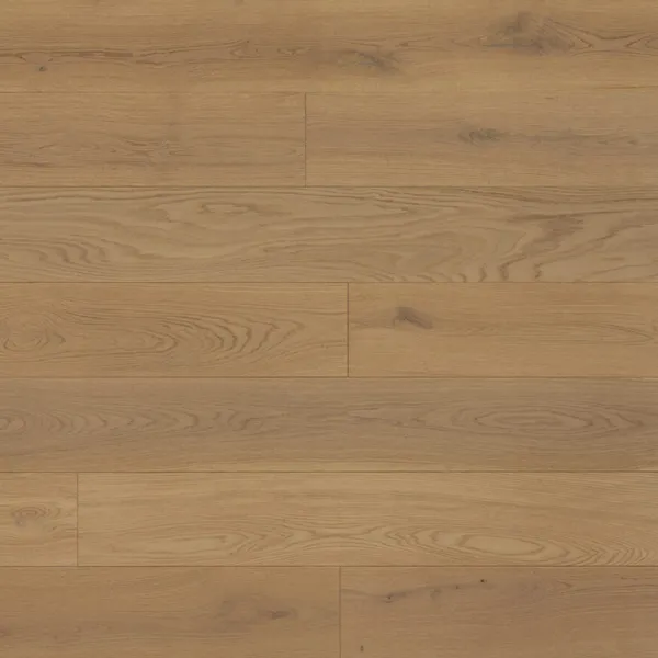 Astor Us — Lauzon Natural Influence