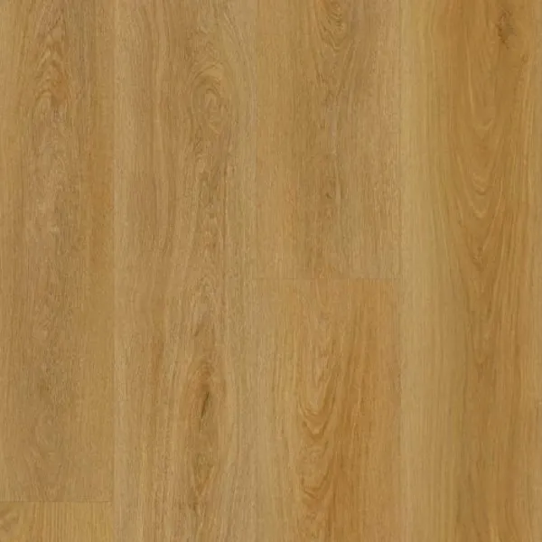 Biscotti Oak — Lions Floor Bambino