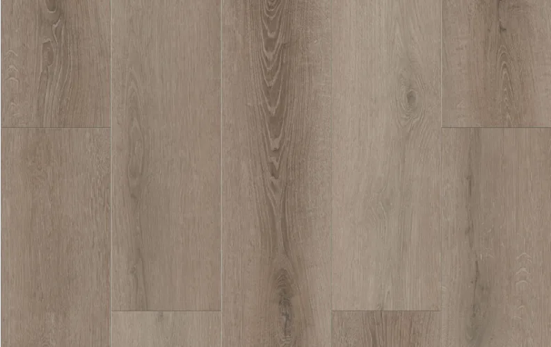 Coffee Feather — Lions Floor Bambino