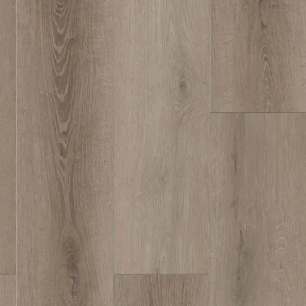 Coffee Feather — Lions Floor Bambino