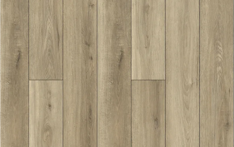 Dolce — Lions Floor Bambino
