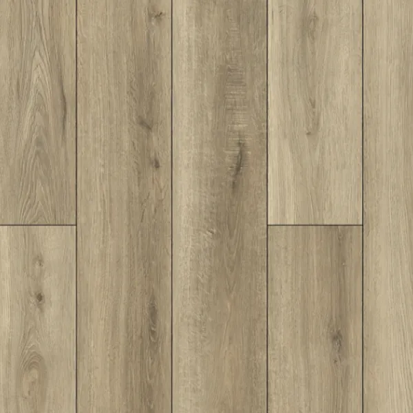 Dolce — Lions Floor Bambino