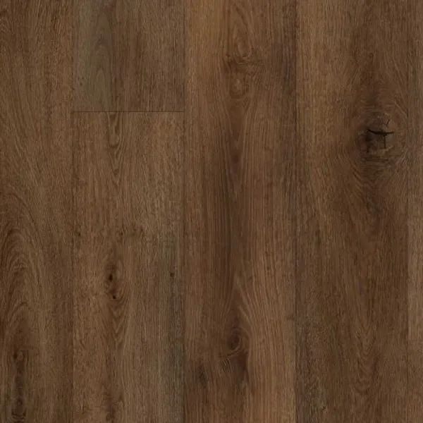 Truffle Grove — Lions Floor Bambino