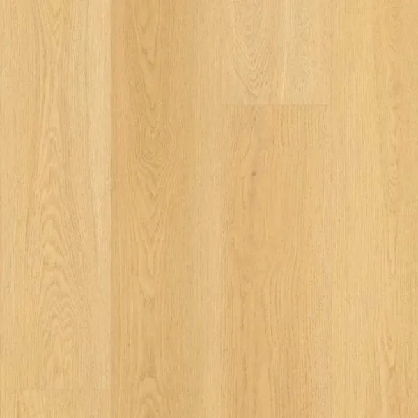 Contour Grove — Lions Floor Bevelmark