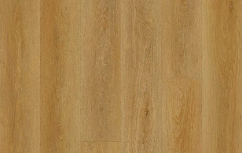 Joiner Path — Lions Floor Bevelmark