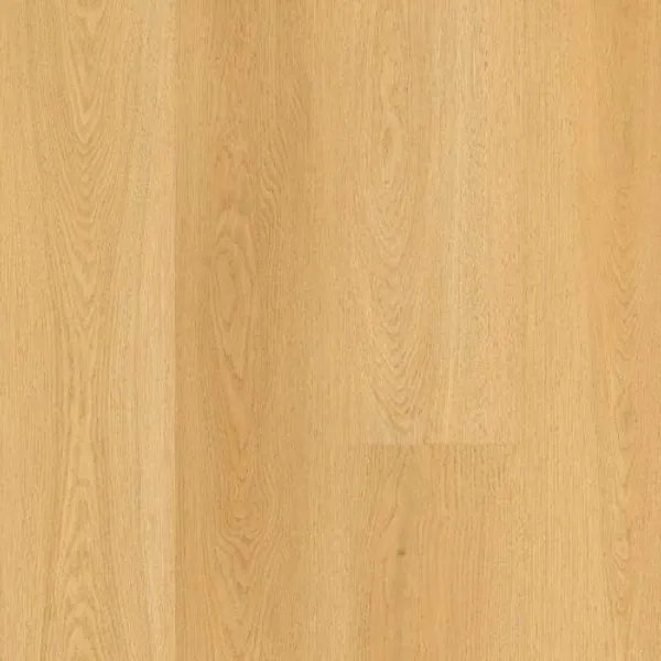 Profile Edge — Lions Floor Bevelmark