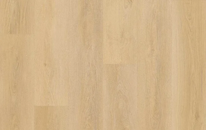 Shadow Reveal — Lions Floor Bevelmark