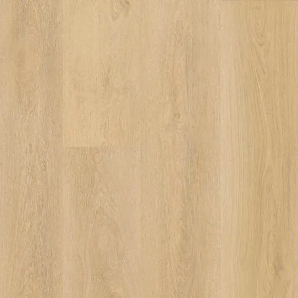 Shadow Reveal — Lions Floor Bevelmark