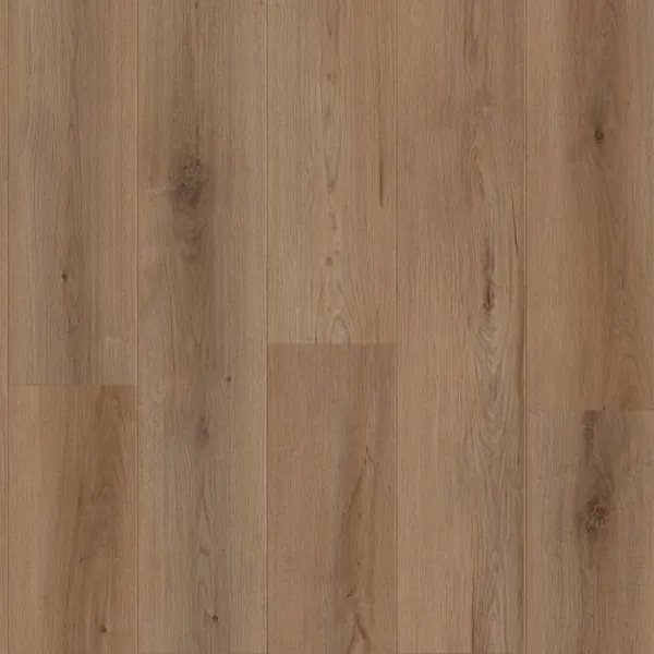 Alpine Ambiance — Lions Floor Canyon Coast