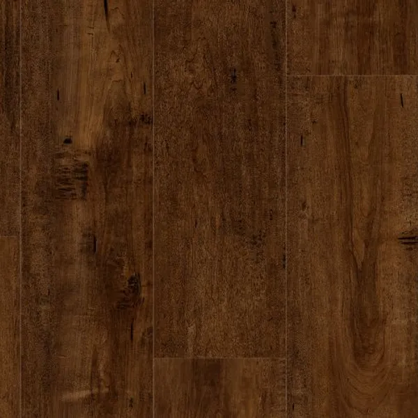 City Pointe — Lions Floor Comfort Heights
