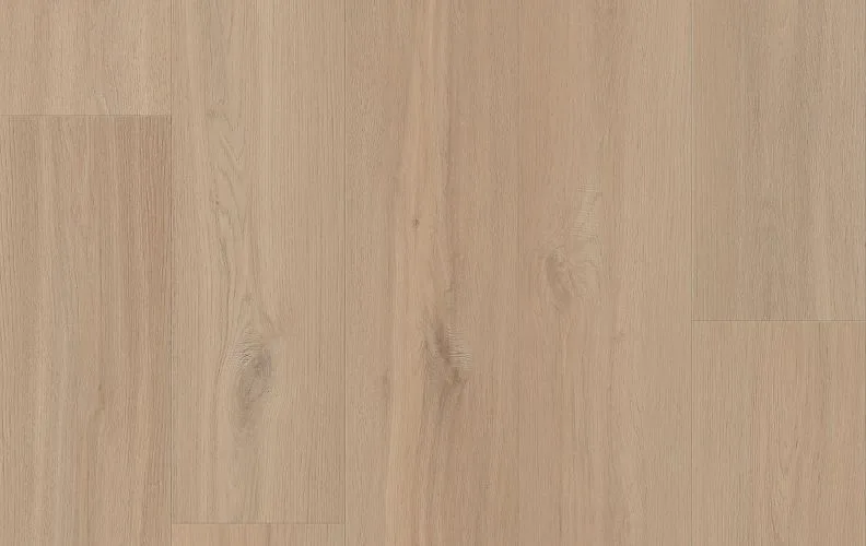 Country Aura — Lions Floor Comfort Heights