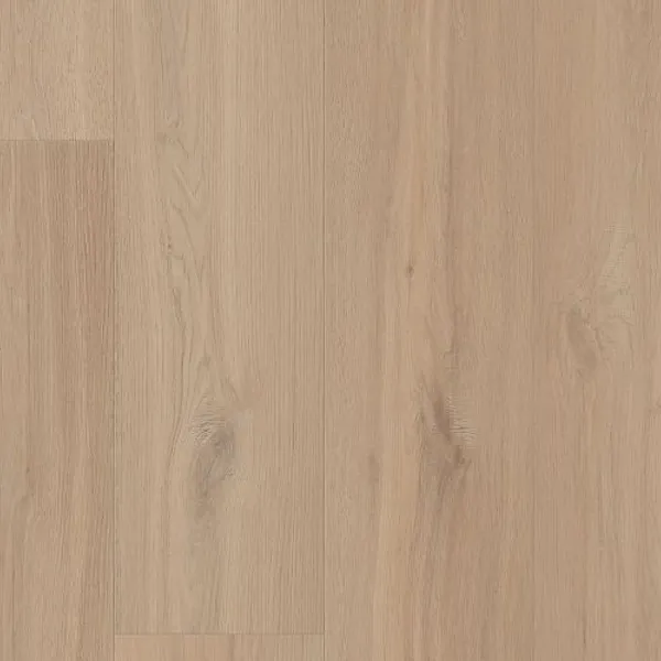 Country Aura — Lions Floor Comfort Heights