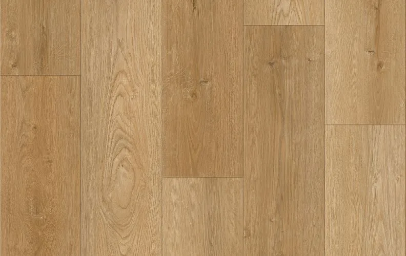 Arlington — Lions Floor District