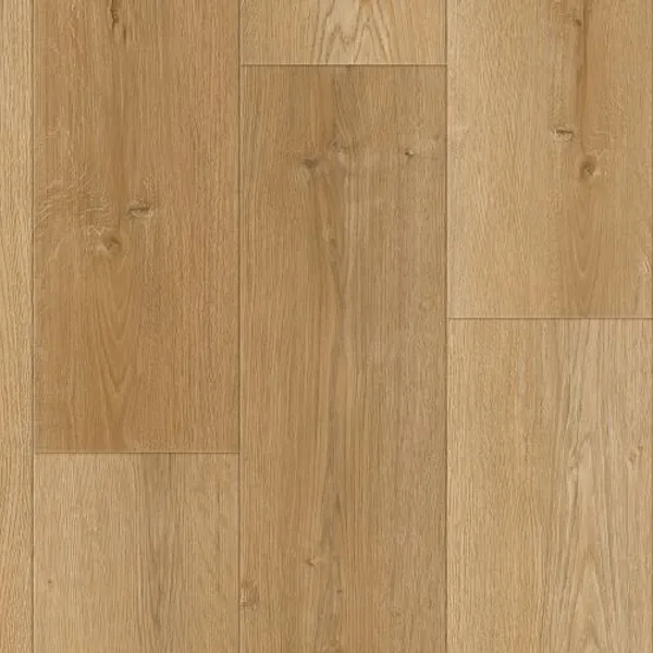 Arlington — Lions Floor District