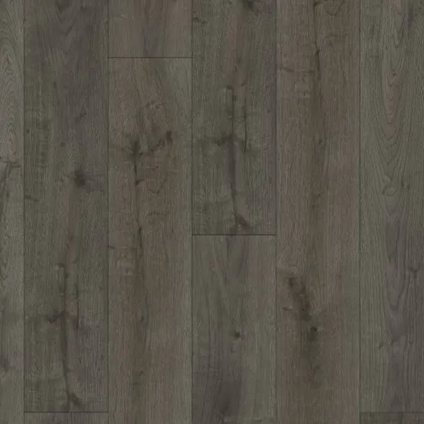 Bellevue — Lions Floor District