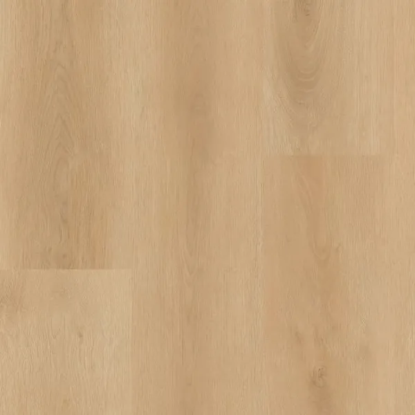 Billings — Lions Floor District