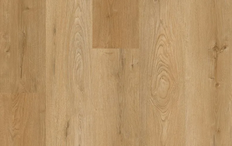 Belvedere — Lions Floor District Max