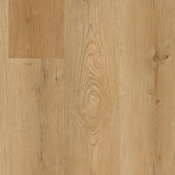 Belvedere — Lions Floor District Max