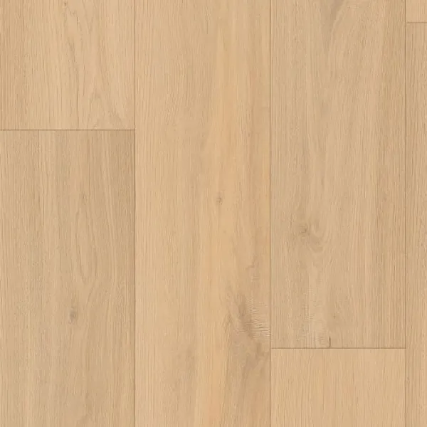 Naperville — Lions Floor District Max