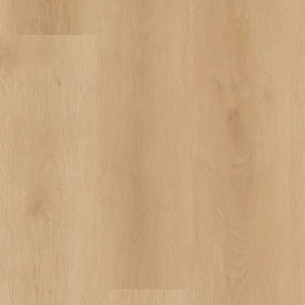 Marquee — Lions Floor District Pro