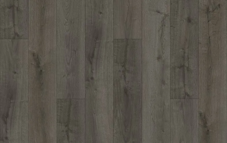 Plano — Lions Floor District Pro