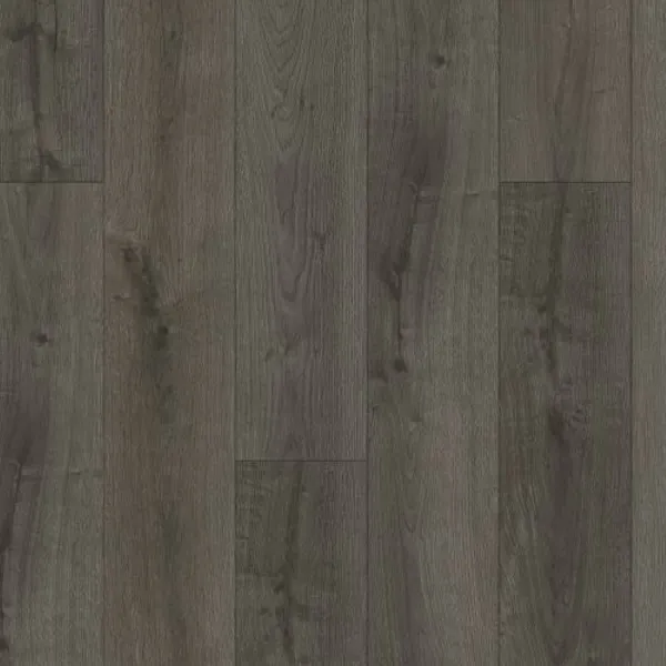 Plano — Lions Floor District Pro