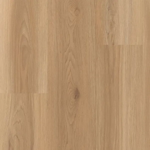 Westgate — Lions Floor District Pro