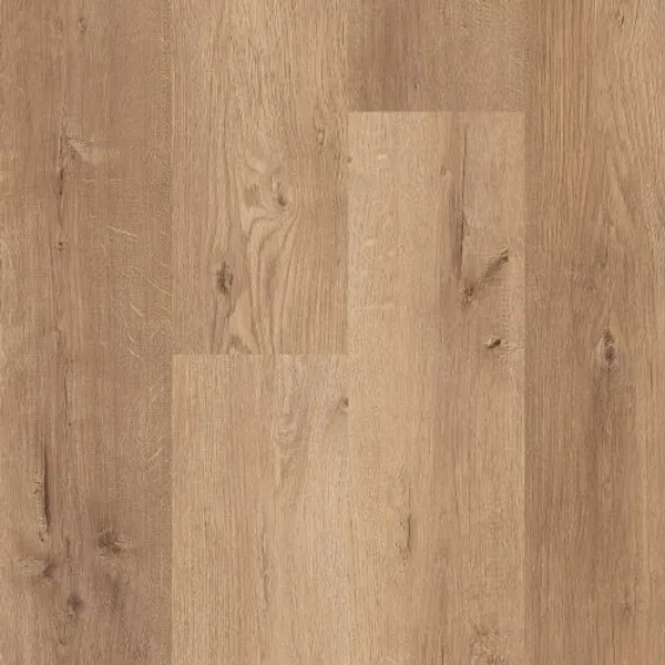 Apex Form — Lions Floor Formalay