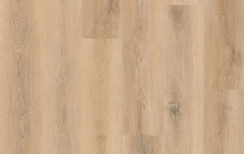 Linear Axis — Lions Floor Formalay
