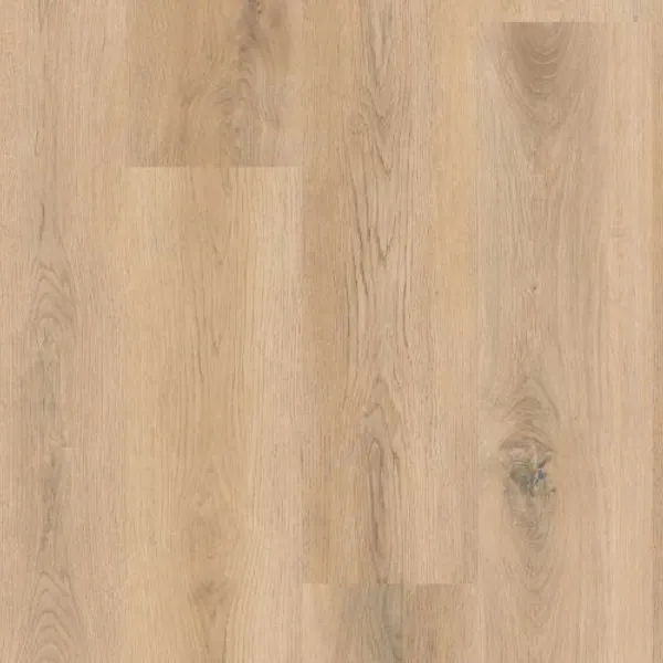 Linear Axis — Lions Floor Formalay
