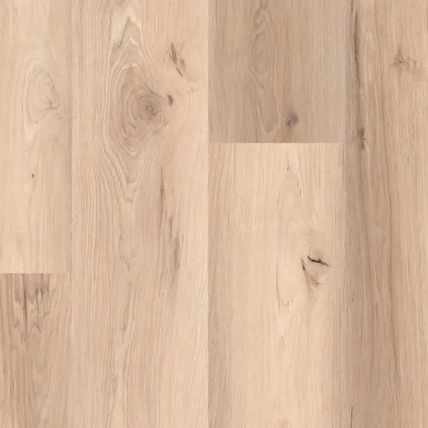Parallax Drift — Lions Floor Formalay