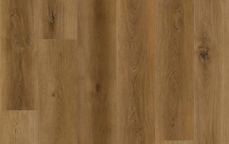 Quantum Trace — Lions Floor Formalay